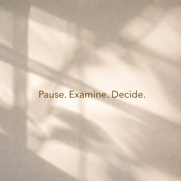 Pause  examine  decide 